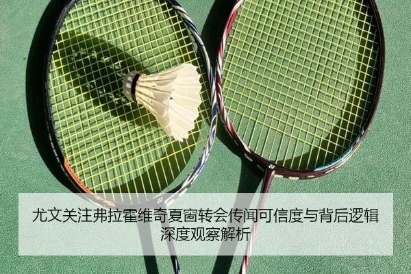 尤文关注弗拉霍维奇夏窗转会传闻可信度与背后逻辑深度观察解析 - kaiyun